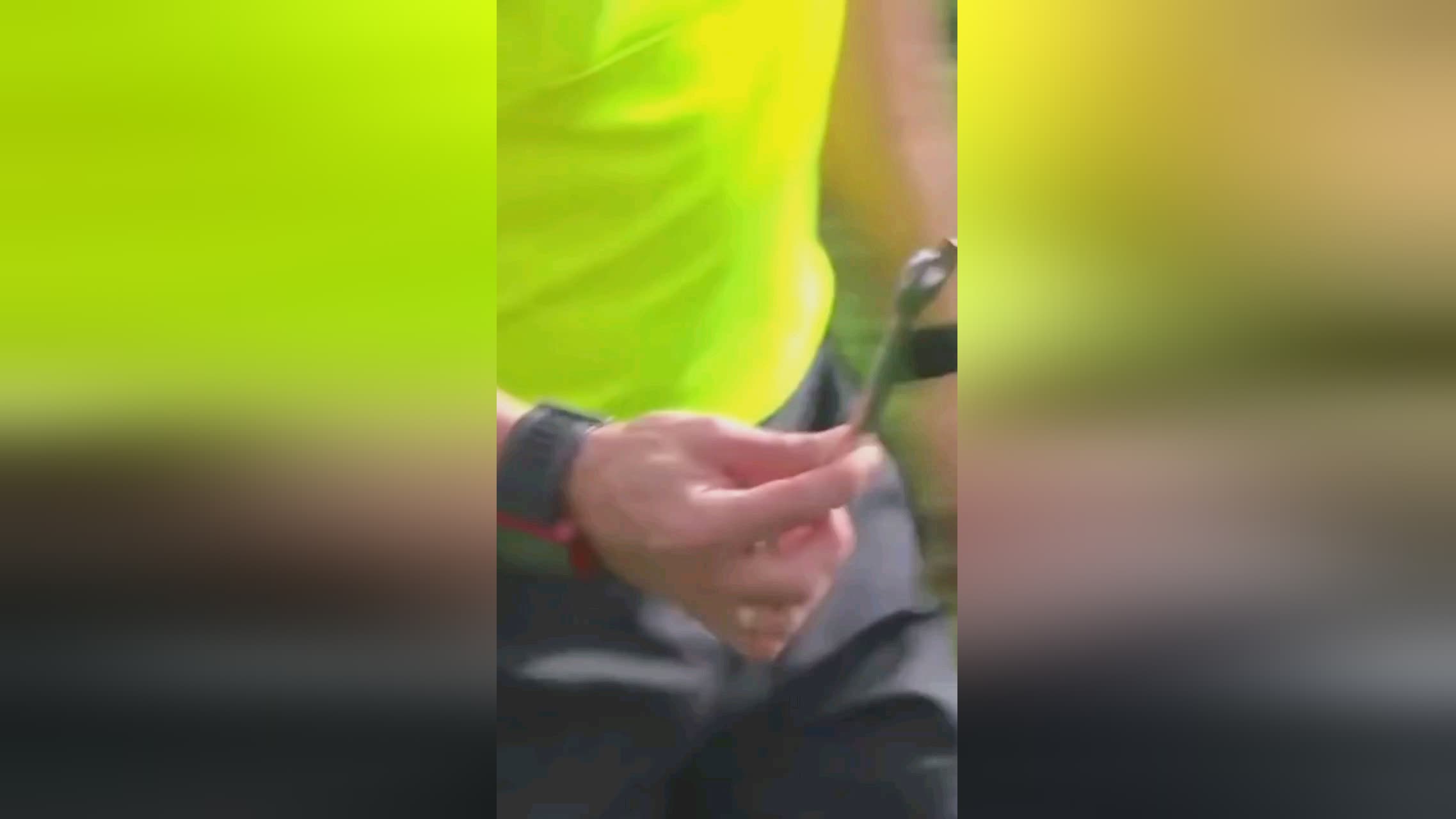 见例如